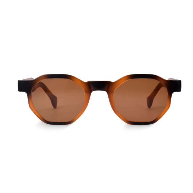 Classic Tori Tortoise Hexagonal Sunglasses